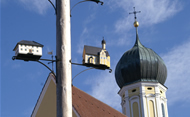 Maibaum und Kirche